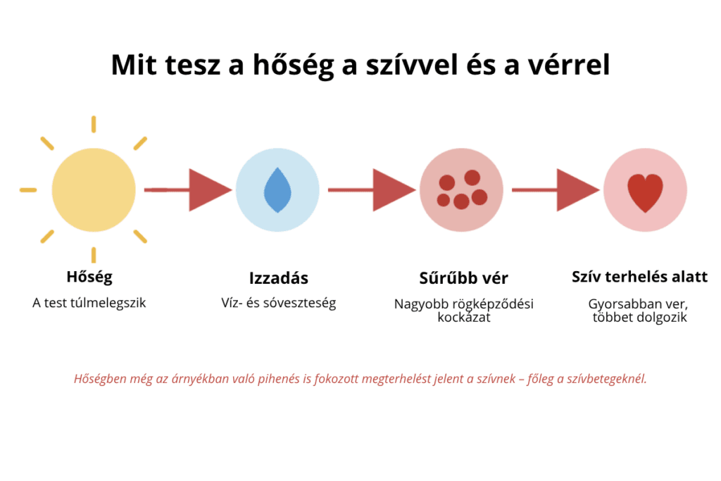 Mit tesz a hőség a szívvel és a vérrel